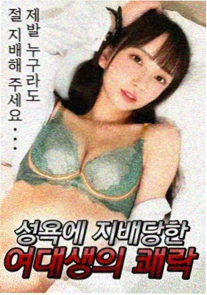红叶电影资讯：剧集集数与剧本集数对比